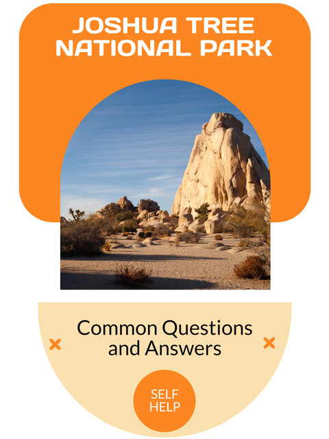 Joshua Tree National Park, Orion C. Valemont