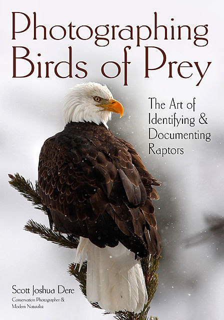Photographing Birds of Prey, Scott Joshua Dere