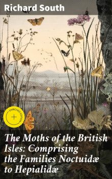 The Moths of the British Isles: Comprising the Families Noctuidæ to Hepialidæ, Richard South