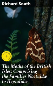 The Moths of the British Isles: Comprising the Families Noctuidæ to Hepialidæ, Richard South