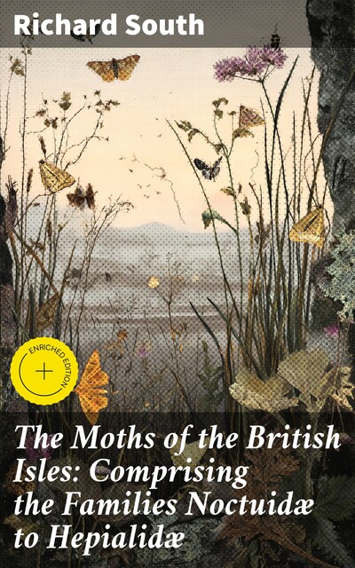 The Moths of the British Isles: Comprising the Families Noctuidæ to Hepialidæ, Richard South