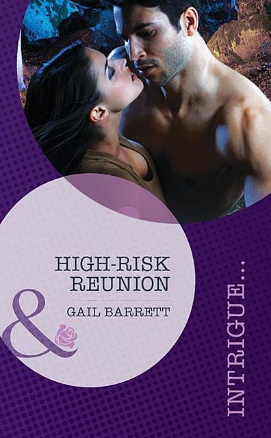 High-Risk Reunion, Gail Barrett
