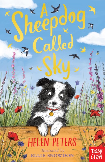 A Sheepdog Called Sky, Helen Peters