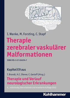 Therapie zerebraler vaskulärer Malformationen, I. Wanke, M. Forsting, C. Stapf