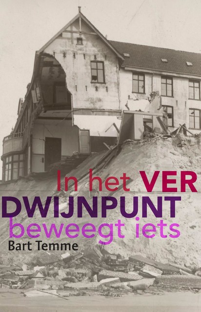 In het verdwijnpunt beweegt iets, Bart Temme