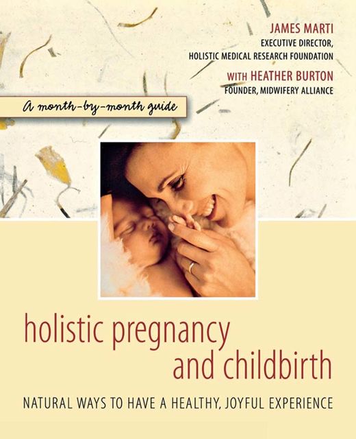 Holistic Pregnancy and Childbirth, James Marti