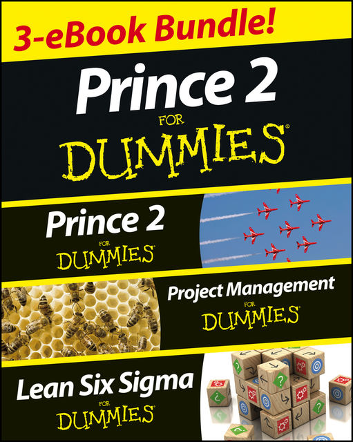 PRINCE 2 For Dummies Three e-book Bundle: Prince 2 For Dummies, Project Management For Dummies & Lean Six Sigma For Dummies, John Morgan, Nick Graham, Martin Brenig-Jones