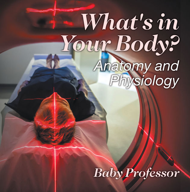 What's in Your Body? | Anatomy and Physiology, Baby Professor
