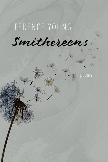 Smithereens, Terence Young