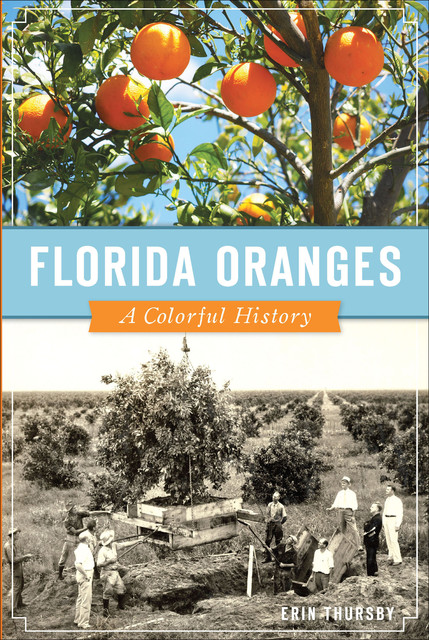 Florida Oranges, Erin Thursby