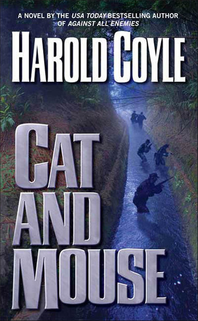 Cat and Mouse, Harold Coyle