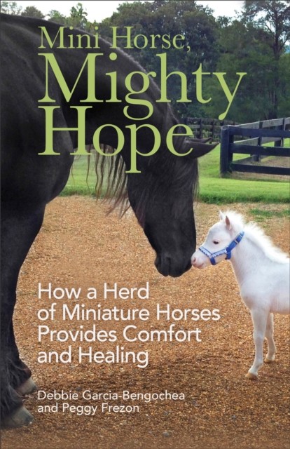Mini Horse, Mighty Hope, Debbie Garcia-Bengochea