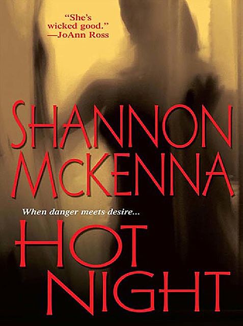 Hot Night, Shannon McKenna