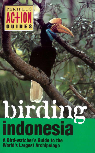 Birding Indonesia, Paul Jepson