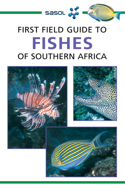 First Field Guide to Fishes of Southern Africa, Rudy van der Elst