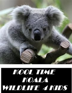 Kool Time Koala Wildlife 4 Kids, Animal, Nature 4 Kids