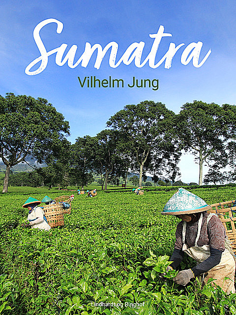 Sumatra, Vilhelm Jung