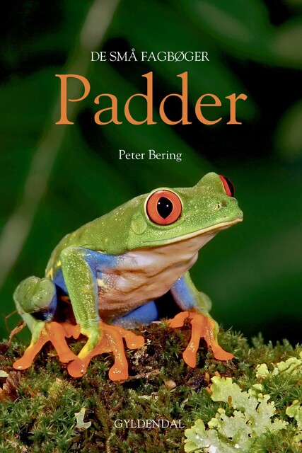 Padder, Peter Bering