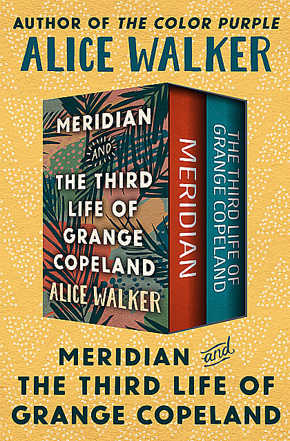 Meridian and The Third Life of Grange Copeland, Alice Walker
