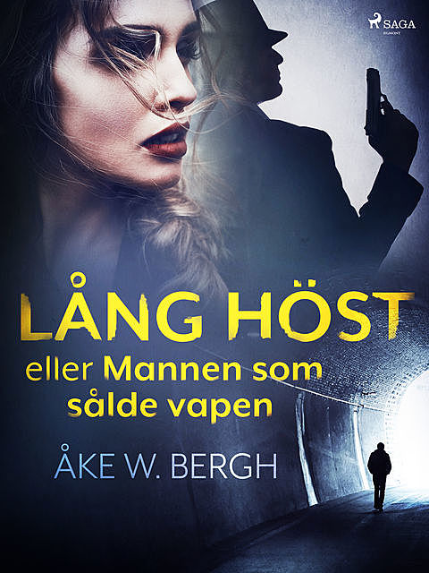 Lång höst eller Mannen som sålde vapen, Åke W. Bergh