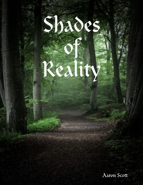 Shades of Reality, Scott Aaron