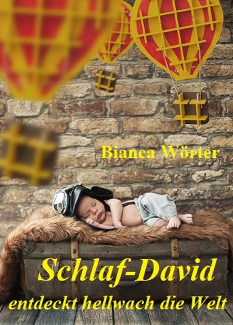 Schlaf-David entdeckt hellwach die Welt, Bianca Wörter