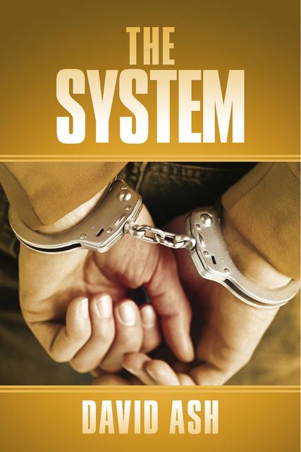The System, David Ash