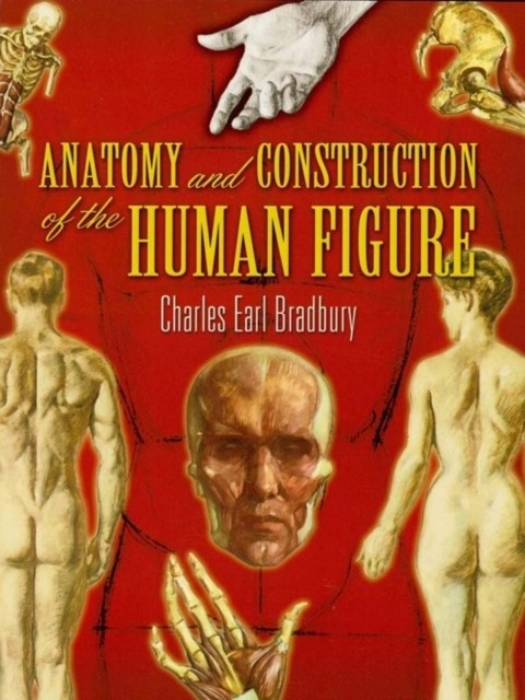 Anatomy and Construction of the Human Figure, Charles Earl Bradbury