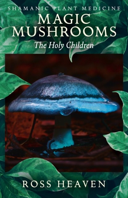 Shamanic Plant Medicine – Magic Mushrooms, Ross Heaven