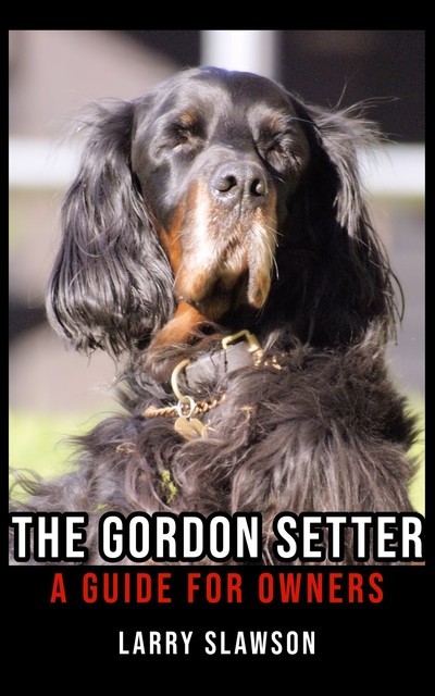 The Gordon Setter, Larry Slawson