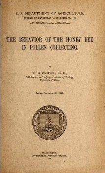The Behavior of the Honey Bee in Pollen Collection, Dana Brackenridge Casteel