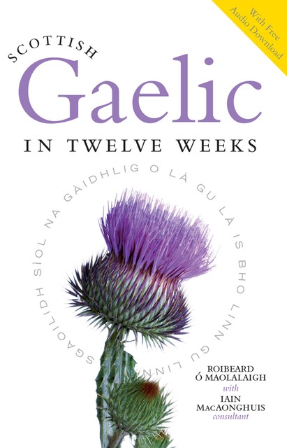 Scottish Gaelic in Twelve Weeks, Iain MacAonghuis, Roibeard Ó Maolalaigh