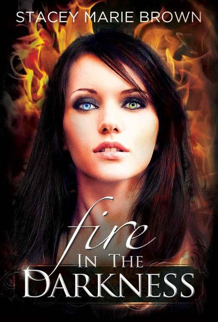 Fire In The Darkness (Darkness Series #2), Brown, Stacey Marie