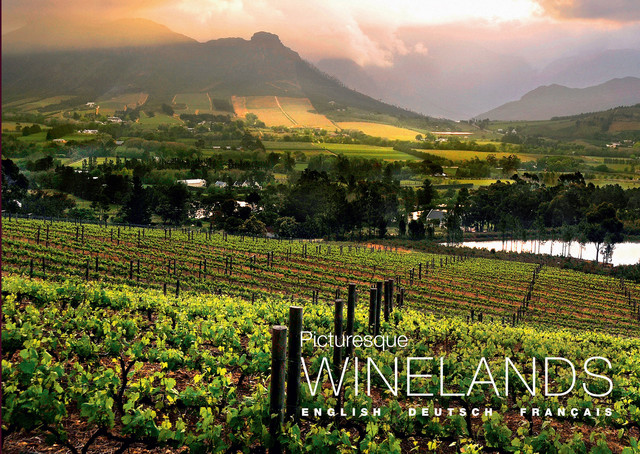 Picturesque Winelands, Tanya Farber