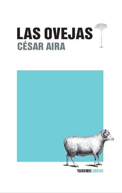 Las ovejas, CésarAira