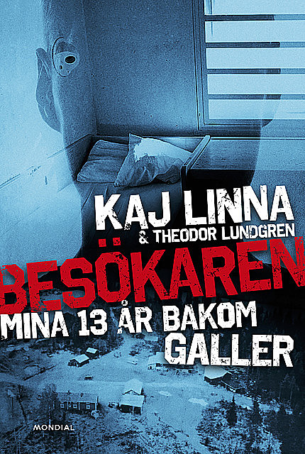 Besökaren : mina 13 år bakom galler, Theodor Lundgren, Kaj Linna