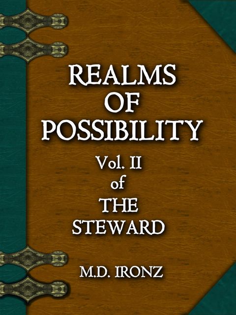 Realms Of Possibility (THE STEWARD, #2), Ironz