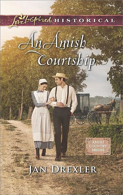 An Amish Courtship, Jan Drexler