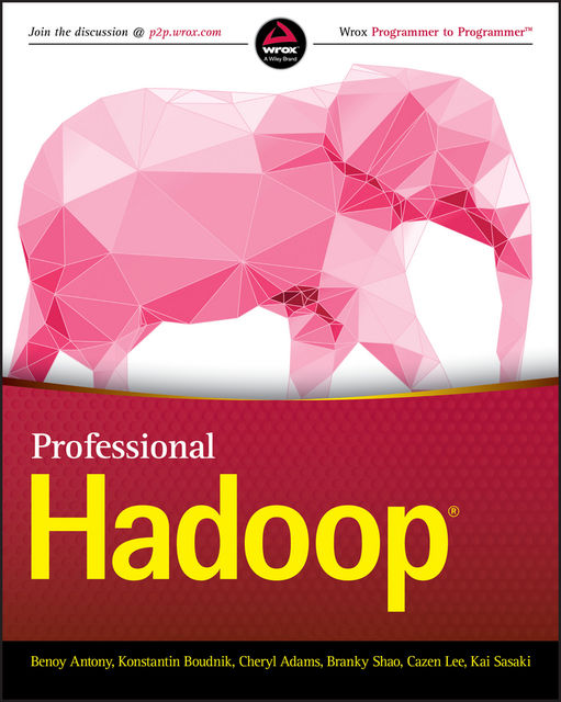 Professional Hadoop, Kai Sasaki, Benoy Antony, Branky Shao, Cazen Lee, Cheryl Adams, Konstantin Boudnik