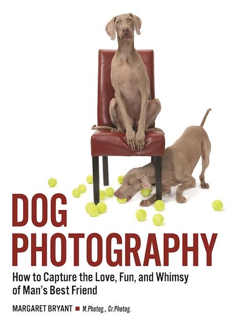 Dog Photography, Margaret Bryant