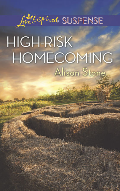 High-Risk Homecoming, Alison Stone