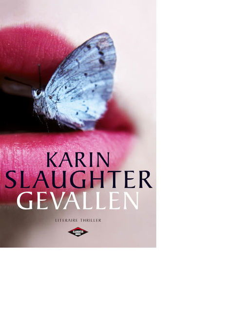 Gevallen, Karin Slaughter