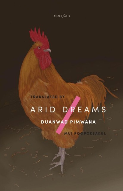 Arid Dreams, Duanwad Pimwana