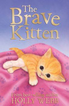 The Brave Kitten, Holly Webb