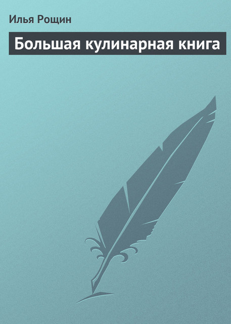 Большая кулинарная книга, Илья Рощин