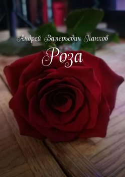 Роза, Андрей Панков
