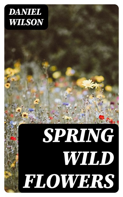 Spring Wild Flowers, Daniel Wilson