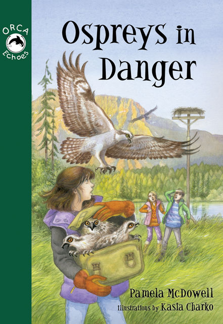Ospreys in Danger, Pamela McDowell