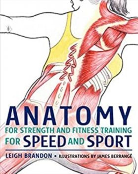 Anatomy for Strength and Fitness Training for Speed and Sport, Leigh Barandon