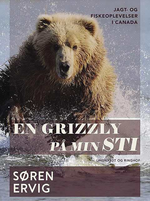 En grizzly på min sti, Søren Ervig